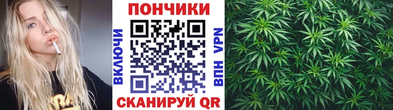 Бошки марихуана VHQ блэк спрут зеркало Миньяр купить наркотик